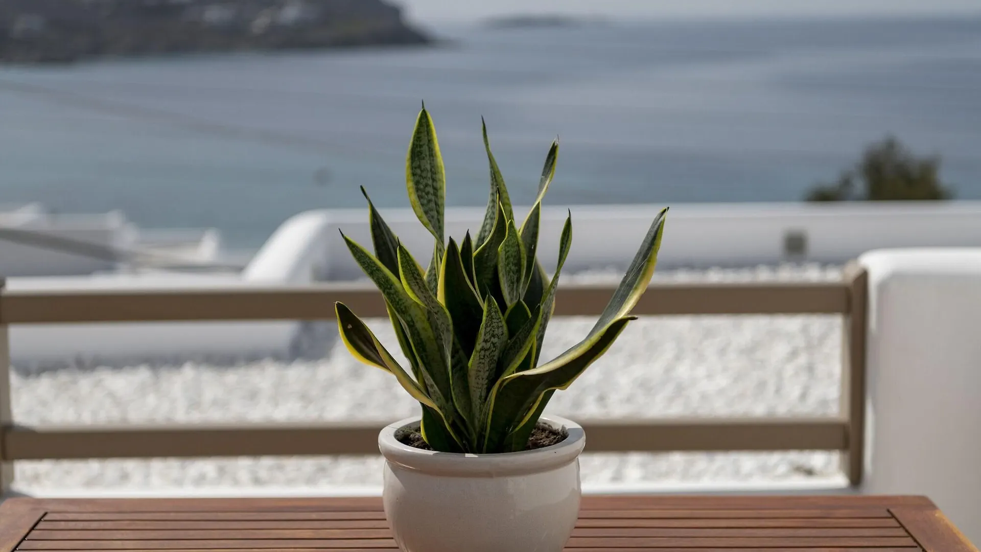 Lithos By Spyros & Flora Hotel Agios Ioannis Diakoftis 4*,